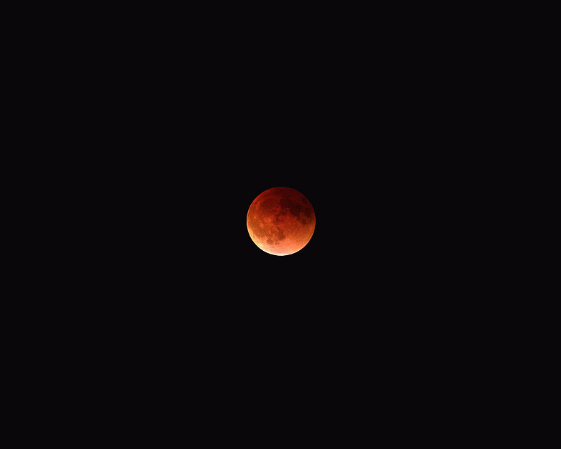 jhp_bloodmoon_malediction_003a