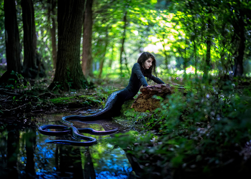 A witch dressed in black leans over a fallen log in a dense forest, her upper body strikingly beautiful. Below, unseen by most, her lower half coils through the swampy water—a massive, wet, black serp