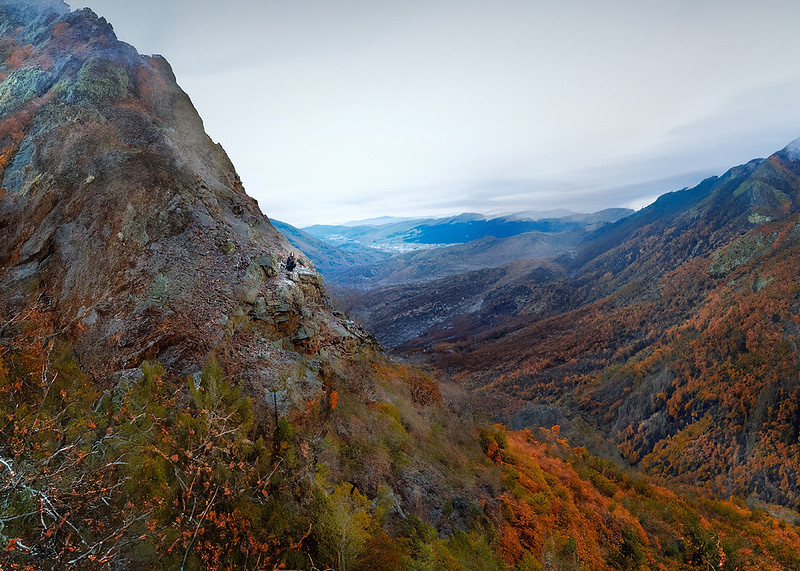 jhp_blog_001
