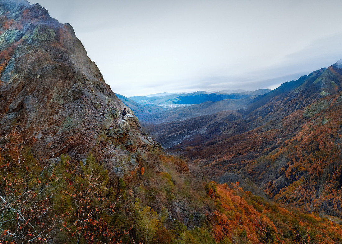 jhp_blog_001